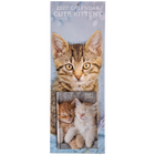 Cute Kittens Slim Calendar and A6 Diary Set 2027 image number 1