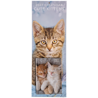 Cute Kittens Slim Calendar and A6 Diary Set 2027