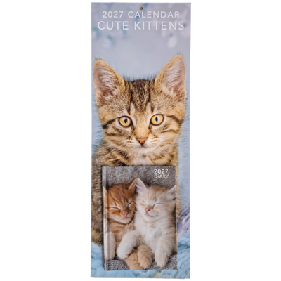 Cute Kittens Slim Calendar and A6 Diary Set 2027 image number 1
