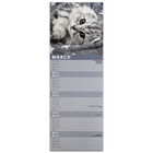 Cute Cats 2022 Slim Calendar and Diary Set image number 2