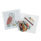 Cross Stitch Kit: Owl image number 3