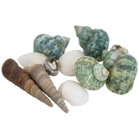 Craft Shells Bag: Assorted