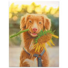 Diamond Painting: Dog & Flower image number 2