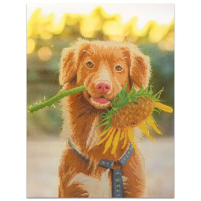 Diamond Painting: Dog & Flower image number 2