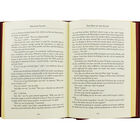 Treasure Island image number 2