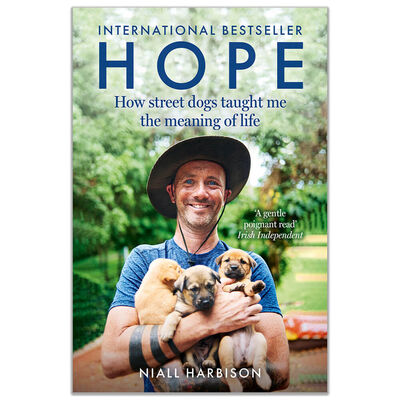Hope: How Street Dogs Taught Me the Meaning of Life image number 1