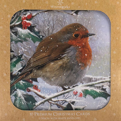 Robin Christmas Cards: Pack Of 10 From 1.00 GBP | The Works