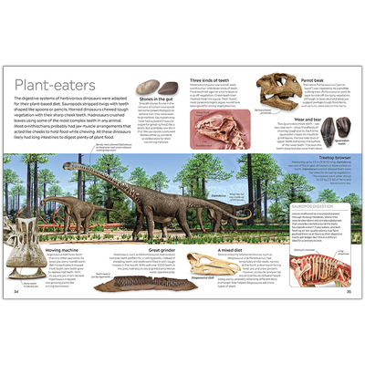 Dinosaur: DK Eyewitness image number 3