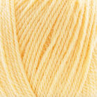Bonus DK: Lemon Yarn 100g image number 2