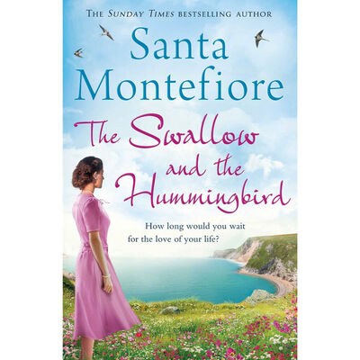 The Swallow and the Hummingbird image number 1