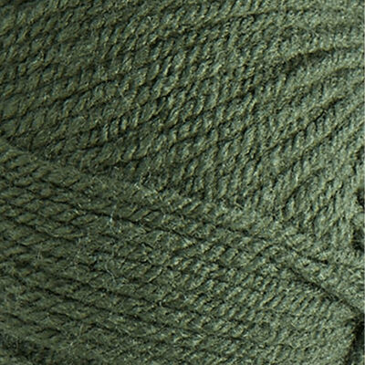 Bonus DK: Forest Green Yarn 100g image number 2