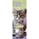 Cute Cats 2021 Slim Calendar and Diary Set image number 1