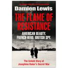 The Flame of Resistance image number 1