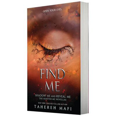 Find Me image number 2