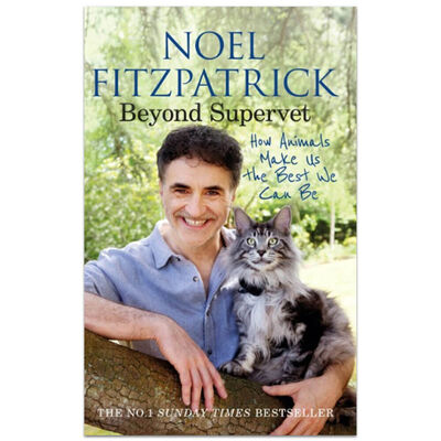 Beyond Supervet image number 1