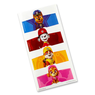 Paw Patrol Fancy Dress Station Dough Play Set image number 3