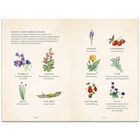 Herbal Magic image number 3