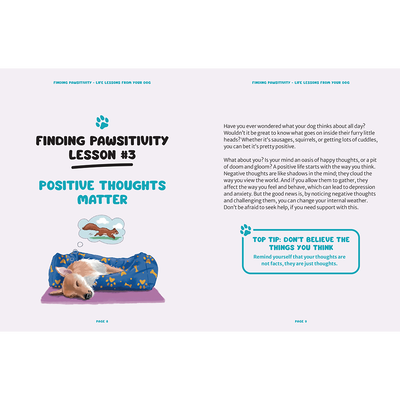 Finding Pawsitivity image number 2