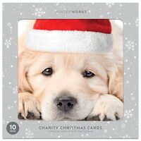 Charity Dog in Santa Hat Christmas Cards: Pack of 10