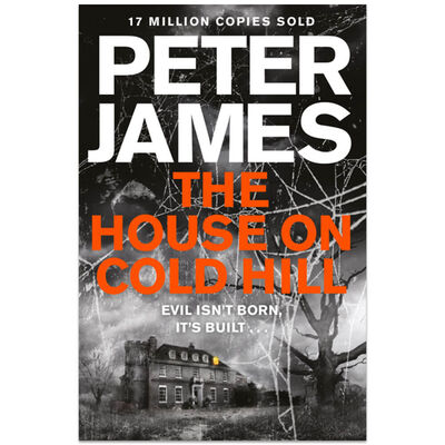 The House on Cold Hill image number 1