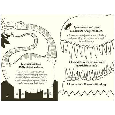 Amazing Facts Every 10 Year Old Needs to Know image number 2