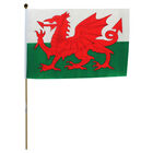 Welsh Hand Flag: 30 x 45cm image number 1