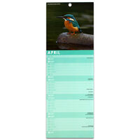 British Birds 2022 Slim Calendar and Diary Set