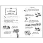 David Walliams: Fing image number 2