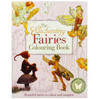 The Enchanting Fairies Colouring Book image number 1