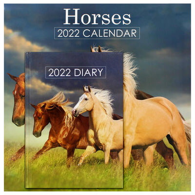 Horses 2022 Square Calendar and Diary Set image number 1