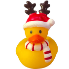 Festive Ducks: Pack of 3 image number 3