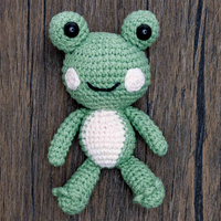 Make Your Own Frog Crochet Kit