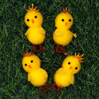 Chicks With Crowns Bonnet Decorations: Pack of 4 image number 2