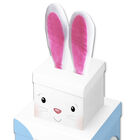 Easter Bunny Plush Box image number 2