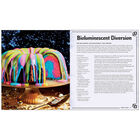 Disney Villains: Devilishly Delicious Cookbook image number 4