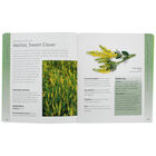 The Herb Bible image number 2