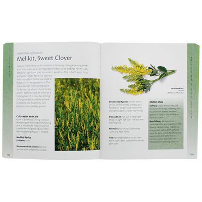 The Herb Bible image number 2