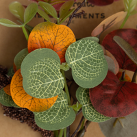 Eucalyptus Foliage Pick