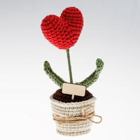 Make Your Own Heart Plant Crochet Kit