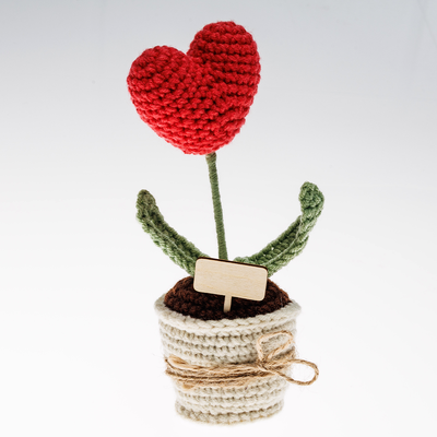 Make Your Own Heart Plant Crochet Kit image number 2