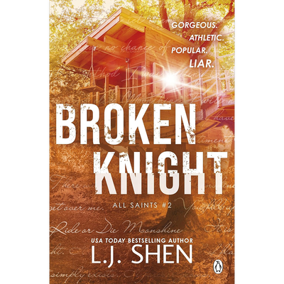 Broken Knight image number 1