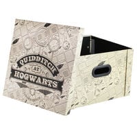 Harry Potter Quidditch Collapsible Storage Box