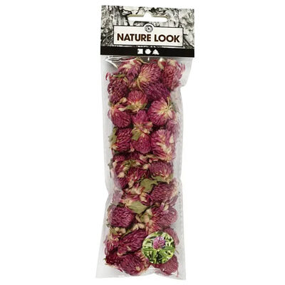 Dried Red Clover Flowers image number 1