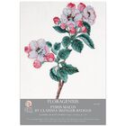 Floragenius Counted Cross Stitch Kit: Pyrus Malus image number 1