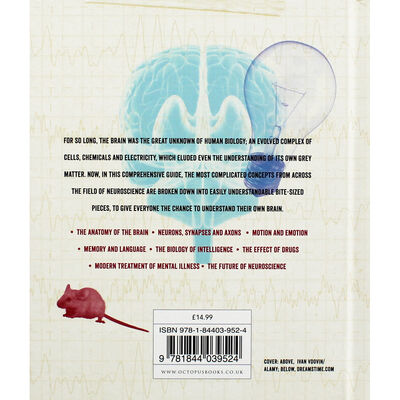 Cracking Neuroscience image number 4