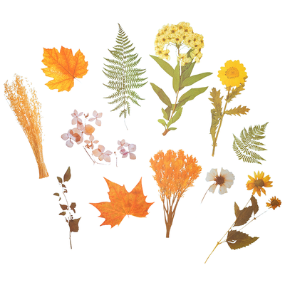Dried Flower & Foliage Stickers: Pack of 12 image number 1
