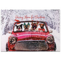 Dogs in Car Cancer Research UK Charity Christmas Cards: Pack of 10