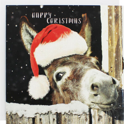 Donkey Christmas Cards - Pack Of 10 image number 1