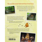 The Natural World of Winnie-the-Pooh image number 3