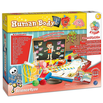 Human Body image number 2